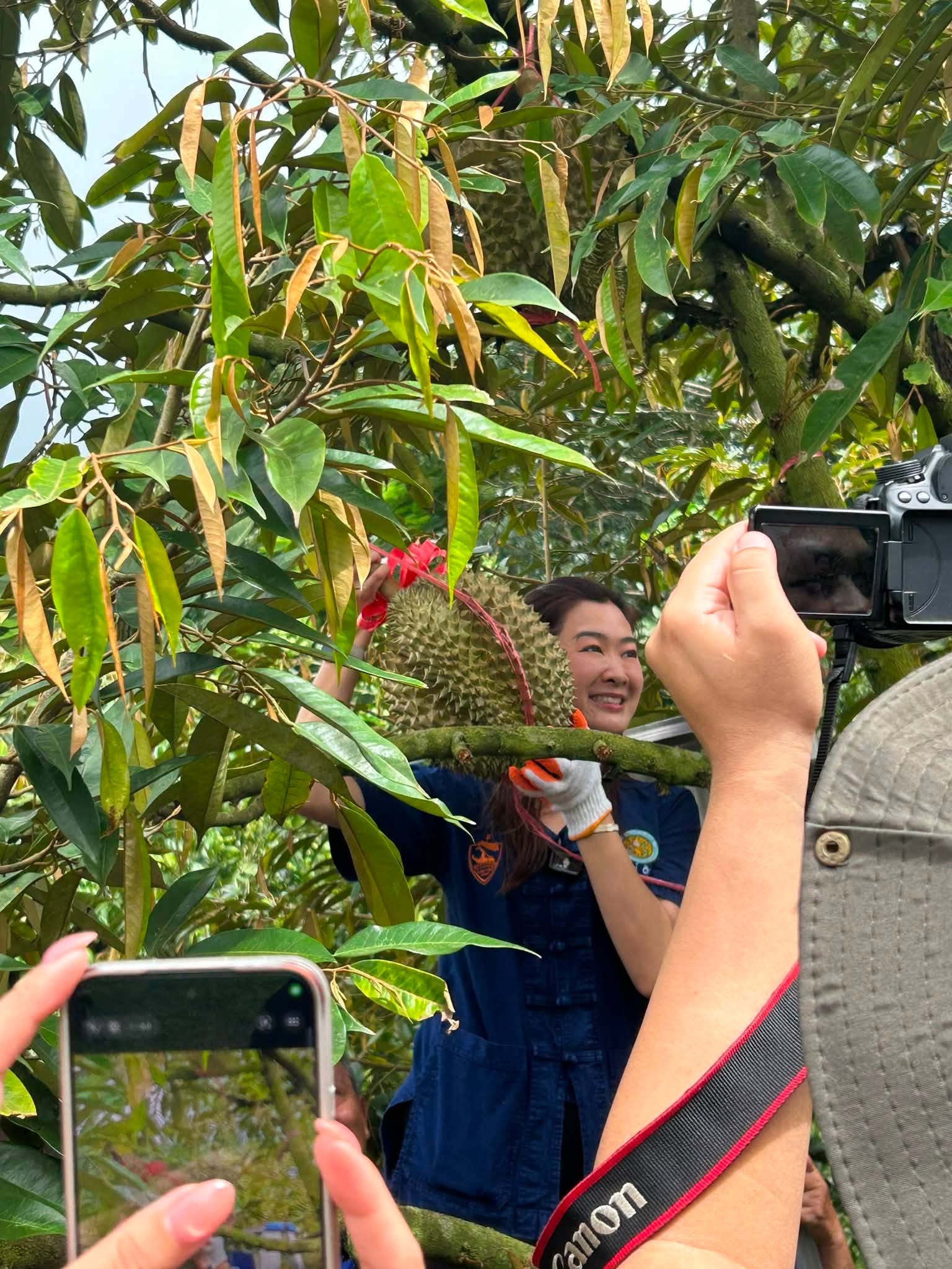title - รองเลขาธิการ ส.ป.ก. ร่วมติดตามคณะ รมช.กษ. ลงพื้นที่ตรวจราชการ ณ จังหวัดเชียงราย